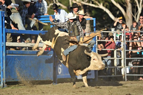 Rodeo